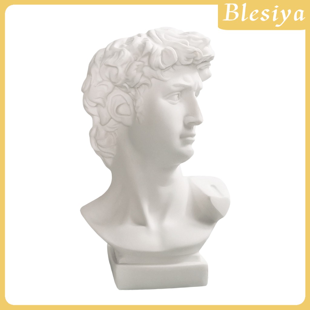 [Blesiya] Bình Hoa Hình Đầu David Trang Trí Chậu Hoa