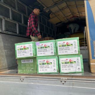 Dầu gội bưởi 850ml chống rụng tóc
