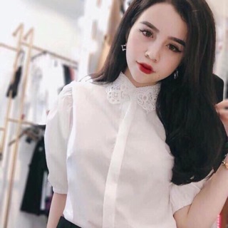 Sơ mi trắng cổ ren tay bồng
