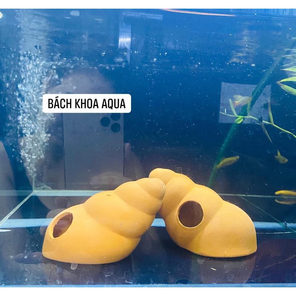 Vỏ ốc bằng gốm cho cá tép