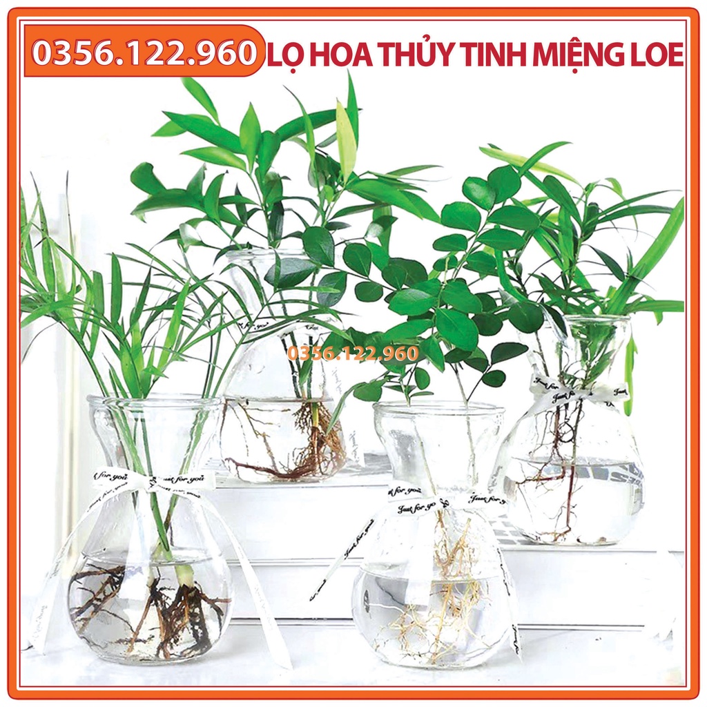 Lọ hoa thủy tinh miệng loeloe