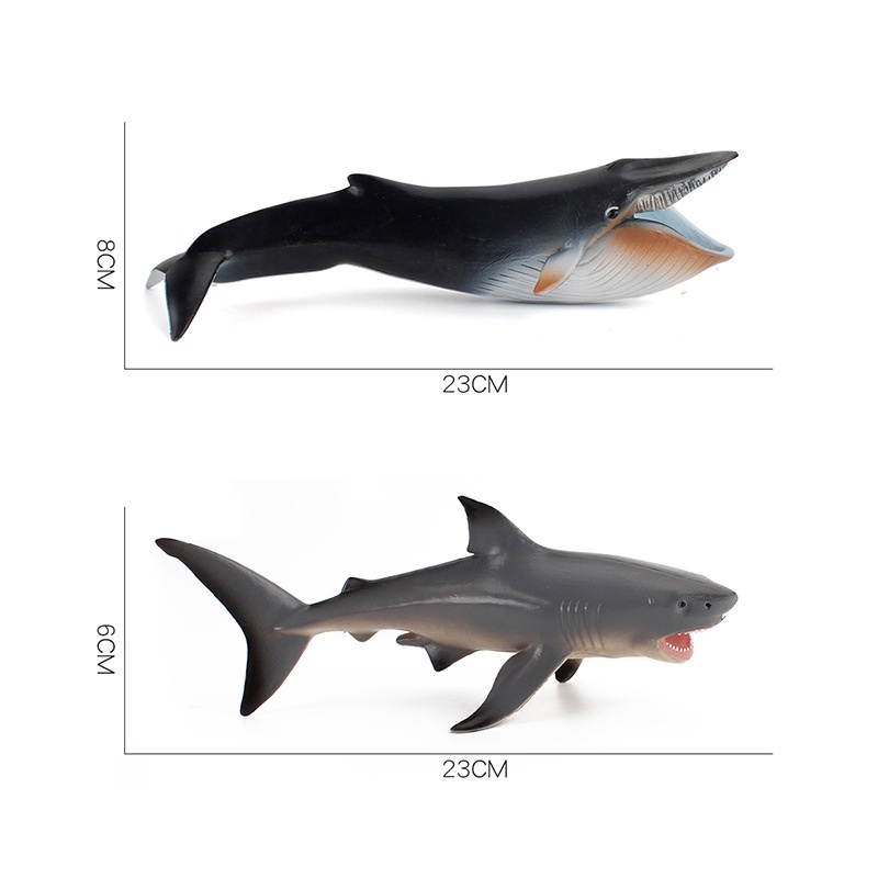 Mô Hình Cá Voi Xanh Dương Megalodon Thiết Kế Sáng Tạo Cho Bé