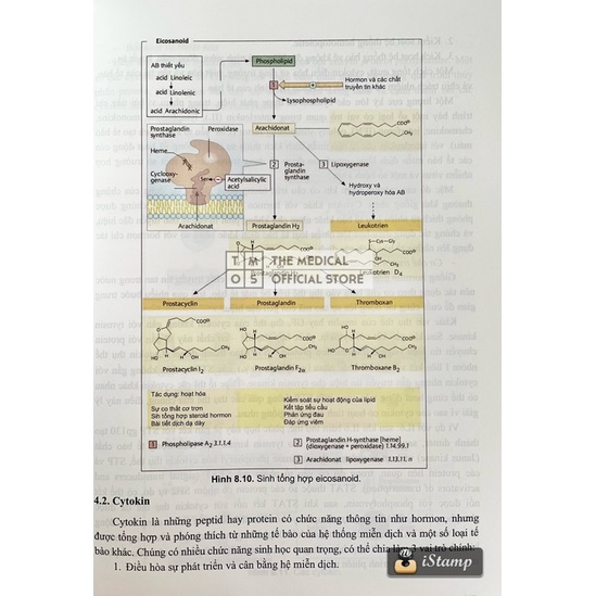 Sách - Hoá Sinh Y Học Tmos
