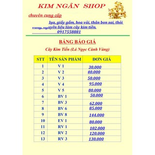 thây cây kim tiền nhiều size