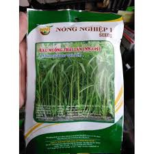 HẠT GIỐNG RAU MUỐNG LÁ TRE GÓI 50 GRAM