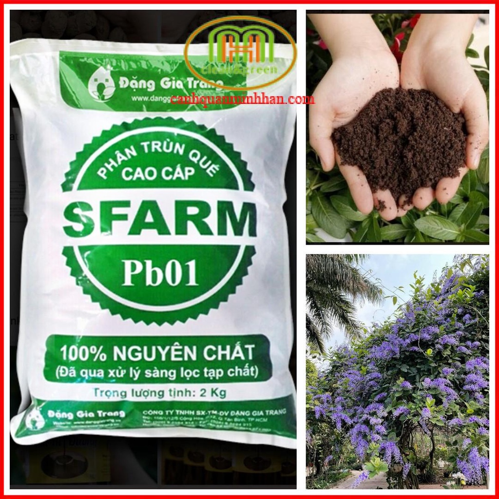 5 KG Phân trùn quế Sfarm bón rau sạch và trồng cây cảnh