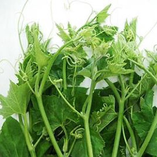 Hạt giống bí ngọn siêu đọt- gói 20 gram