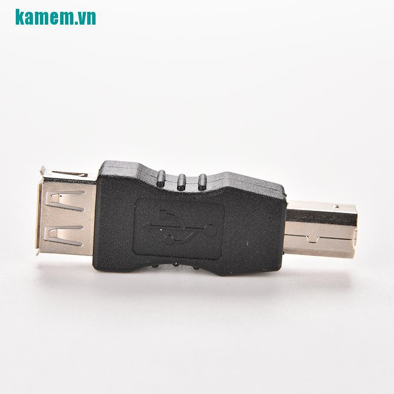 Bộ 2 đầu nối điều hợp ổ USB loại A sang đầu USB loại B