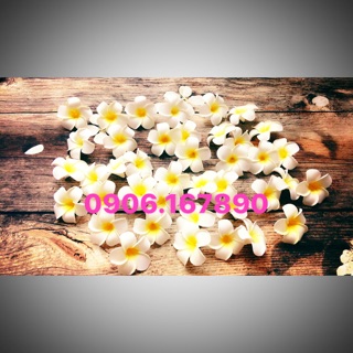 Combo 3 bông Hoa đại cài tóc đi biển