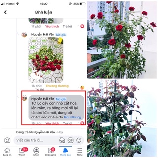 📛📛 COMBO: ĐẠM CÁ, ĐẬU TƯƠNG, DỊCH CHUỐI 📛📛