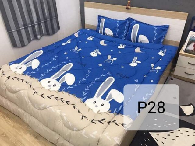 Set ga trải giường chun 3 món cotton poly M6, M8