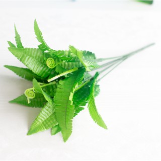 Hoa dương xỉ