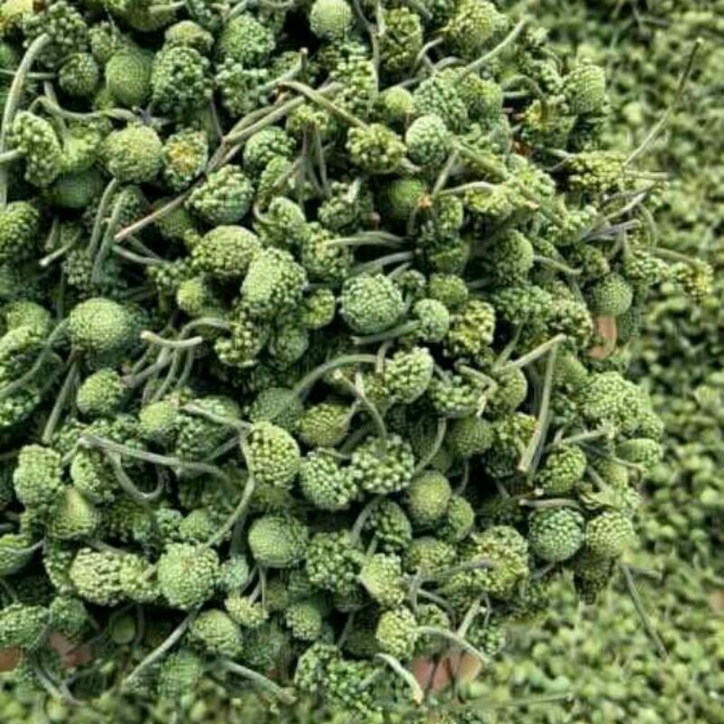 Sỉ lẻ nụ tam thất 100g - 200g - 300g