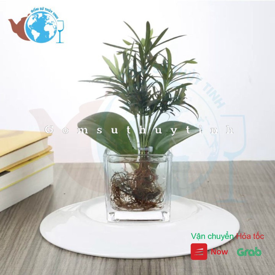 Bình bông lọ hoa trụ vuông 6CM X 6CM