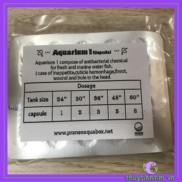 Sát khuẩn hồ tép Pranee Aquarium-1