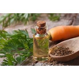 Dầu hạt cà rốt (carrot seed oil) Viện IAT 10ml