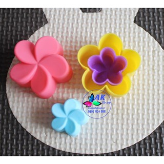 2503.000 SET10 KHUÔN SILICONE 3CM