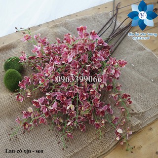 Hoa Lụa Để Bàn 🌺FREESHIP🌺 Hoa Lan Cò Cao Su