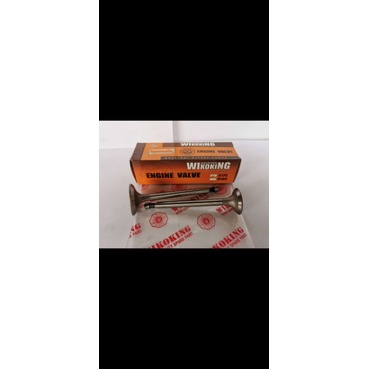 Van IN+EX R175 DONGFENG