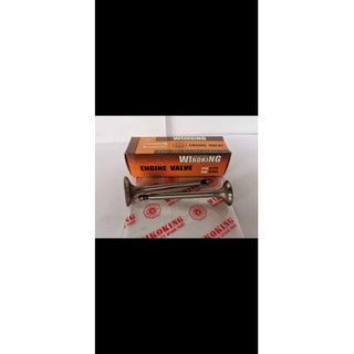 Van IN+EX R175 DONGFENG