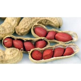 Lạc (đậu phộng) đỏ/ trắng chưa rang 500gram