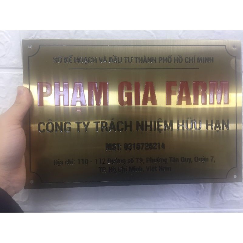Trứng chim Trĩ | BigBuy360 - bigbuy360.vn