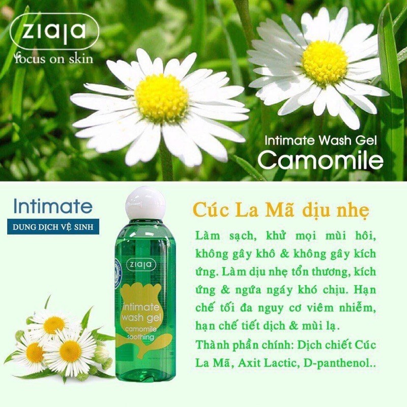 Dung Dịch Vệ Sinh Phụ Nữ Intima Ziaja Balan 200Ml Chống Viêm Cấp Ẩm Hoa Cúc La Mã | BigBuy360 - bigbuy360.vn