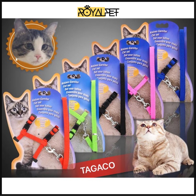 (Y04) DÂY DẮT CHUYÊN DỤNG CHO CHÓ MÈO!!