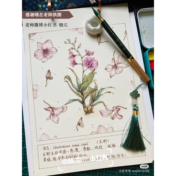 Cọ Vẽ - Bút Lông Thư Pháp Liễu Hàm Yên - Bút Ý Hiên