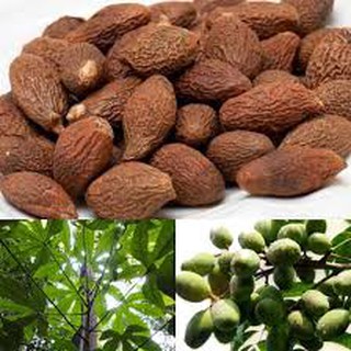 Hạt ươi bay/Hạt đười ươi 50g