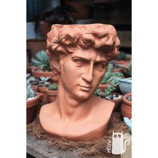 Chậu tượng đất nung David đỏ | Chậu Hy Lạp trồng cây, sen đá, xương rồng