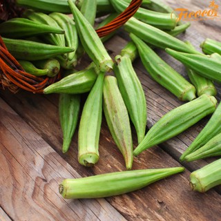 HẠT GIỐNG ĐẬU BẮP RADO 60
