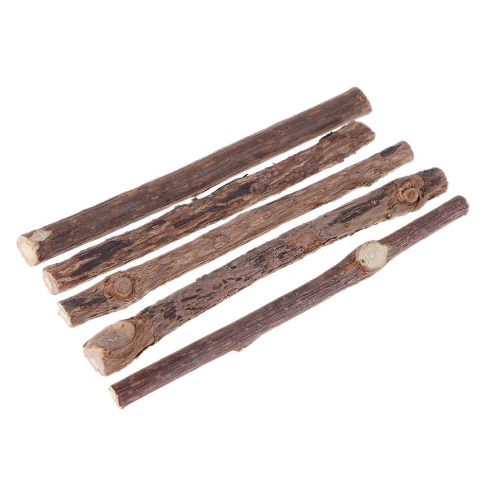 Set 30 Cây Gỗ Miêu Catnip Bạc Hà Cho Mèo Gặm Trắng Răng Masti