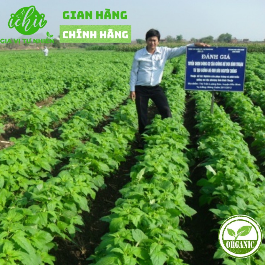 Mè trắng  ORGANIC, hạt vừng hữu cơ thích hợp chế biến ăn dặm cho bé gói 100g