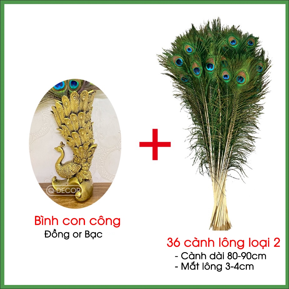 Bình cắm lông công BC01 và 36 cành lông công mắt 3-4cm