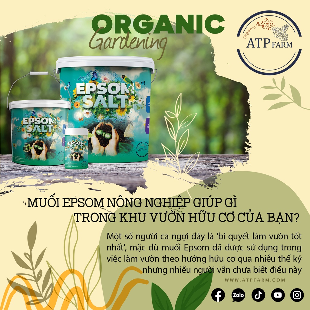 ATP Farm - CHÍNH HÃNG : Thùng 20KG Muối EPSOM SALT Nông nghiệp hữu cơ - Cao cấp Nhập khẩu Châu Âu