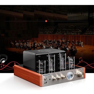 (CÓ SHIP HỎA TỐC) BỘ KHUẾCH ĐẠI ÂM AMPLIFIER ĐÈN MINI BLUETOOTH NOBSOUND MS-10D MKII CAO CẤP