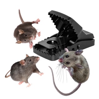 Bẫy bắt Chuột diệt chuột hiệu quả
