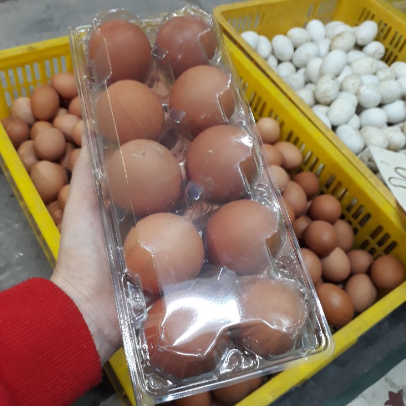 Trứng gà đỏ  khay 10 quả