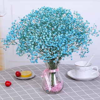 bó hoa baby màu xanh dương