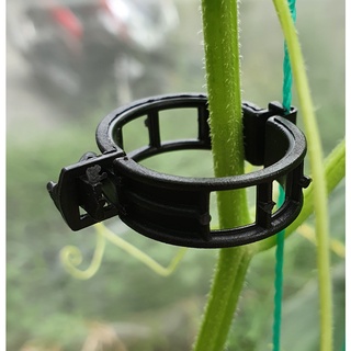 Nẹp vòng cố định thân cây cà chua 50 cái
