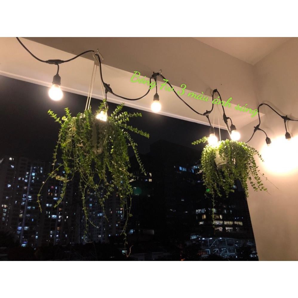 Dây đèn LED trang trí chống nước 5m 10 đui ngoài trời - Đèn ngoài trời ở Đà Lạt