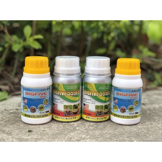 Thuốc diệt muỗi bigfive 555ec