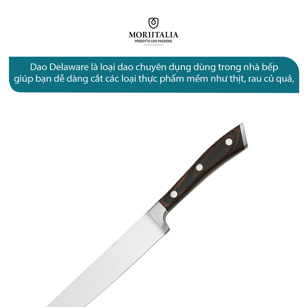 Dao đa năng Delaware đẹp siêu bén không gỉ Moriitalia 3000389