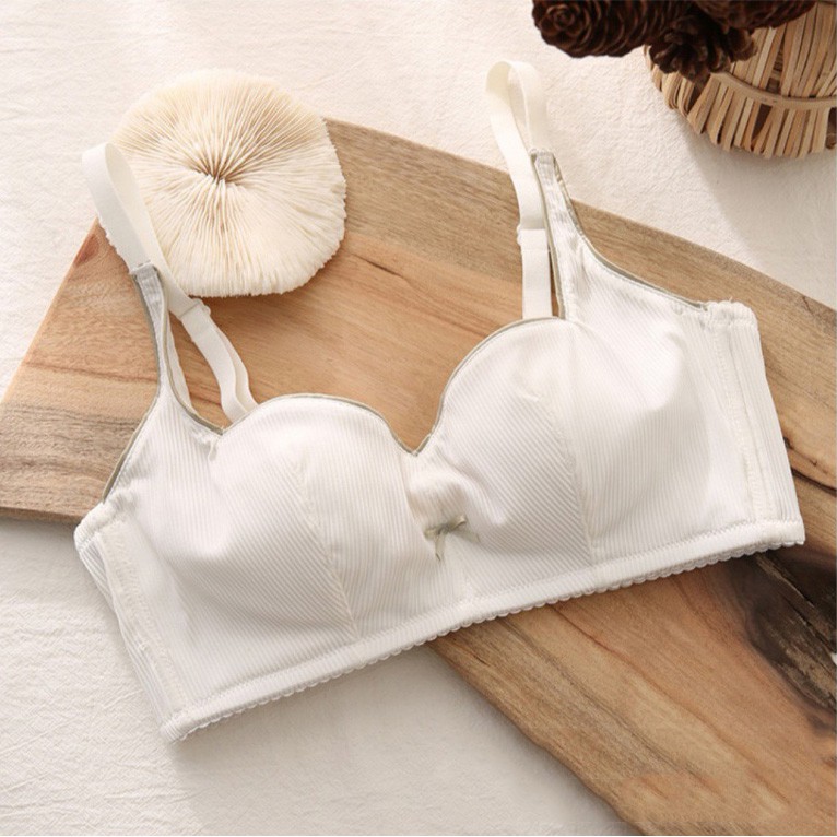 Áo Lót Không Gọng Đệm Mỏng Làm Gọn Ngực Thun Tăm B040