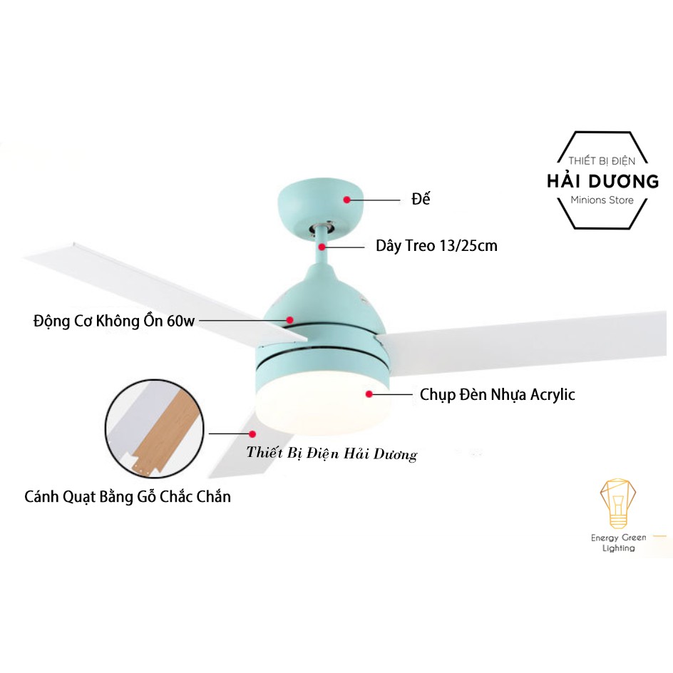 Quạt Trần Gỗ 3 Cánh QT-10632 Phong Cách Bắc Âu Tích Hợp Đèn Chiếu Sáng - 3 Chế Độ Ánh Sáng - Điều Khiển Từ Xa - Có Video