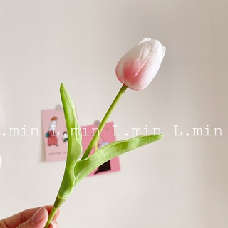 Hoa Tulip decor loại 1 (hoa màu pastel) L.min