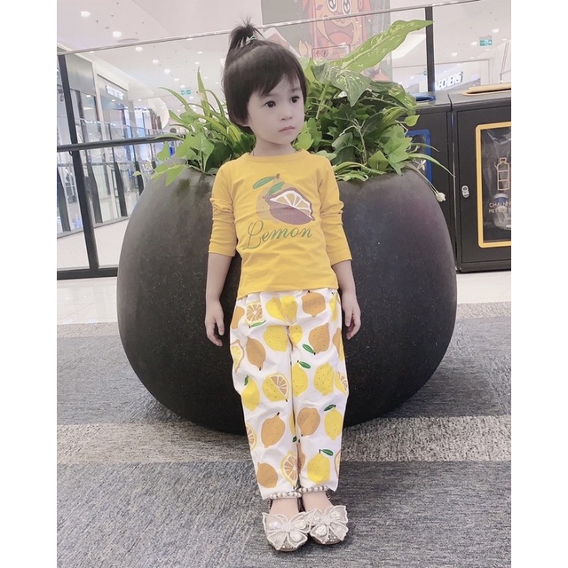 Bộ Hoa Quả Cho Bé Từ 10-32kg Chất cotton mềm mịn❤️Bộ Quần áo dài bé gái