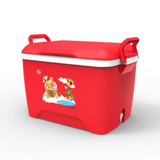 Bán sỉ lẻ Thùng đá vuông 35l, 45l của Duy Tân bán hàng uy tín