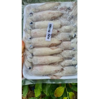 Mực ống trứng biển đặc biệt loại 1 size 14-16/ 1kg